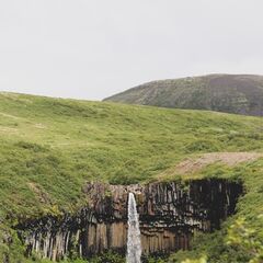 crepperflume